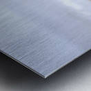 Beach Wood Metal print