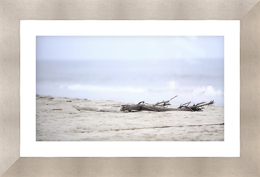 Beach Wood Picture Frame print