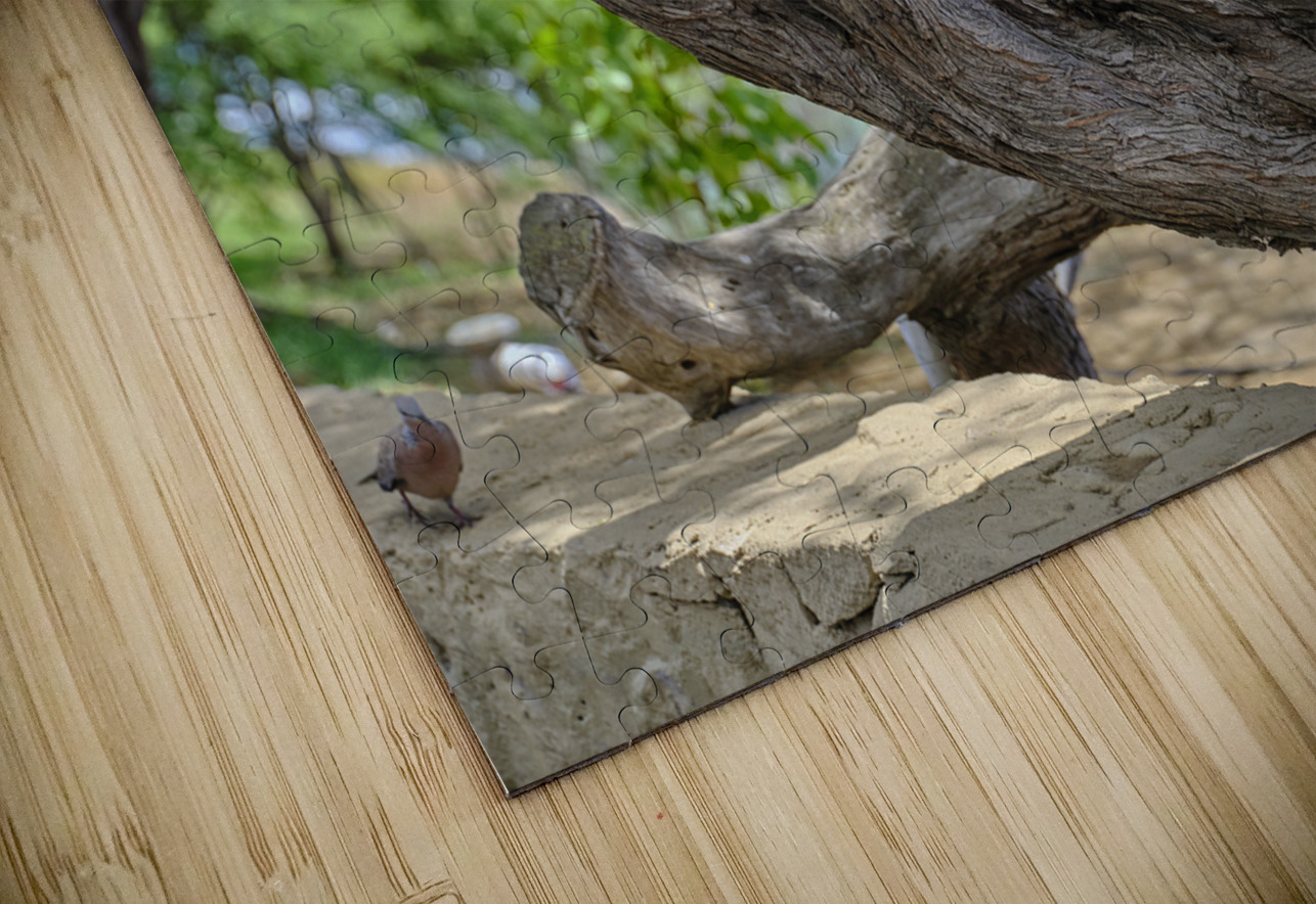 Hawaii Cardinal IV Kamara Studio   Ultra High Resolution Mural Prints Puzzle