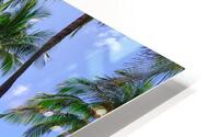 Hawaii Palms Surfboards Impression metal HD
