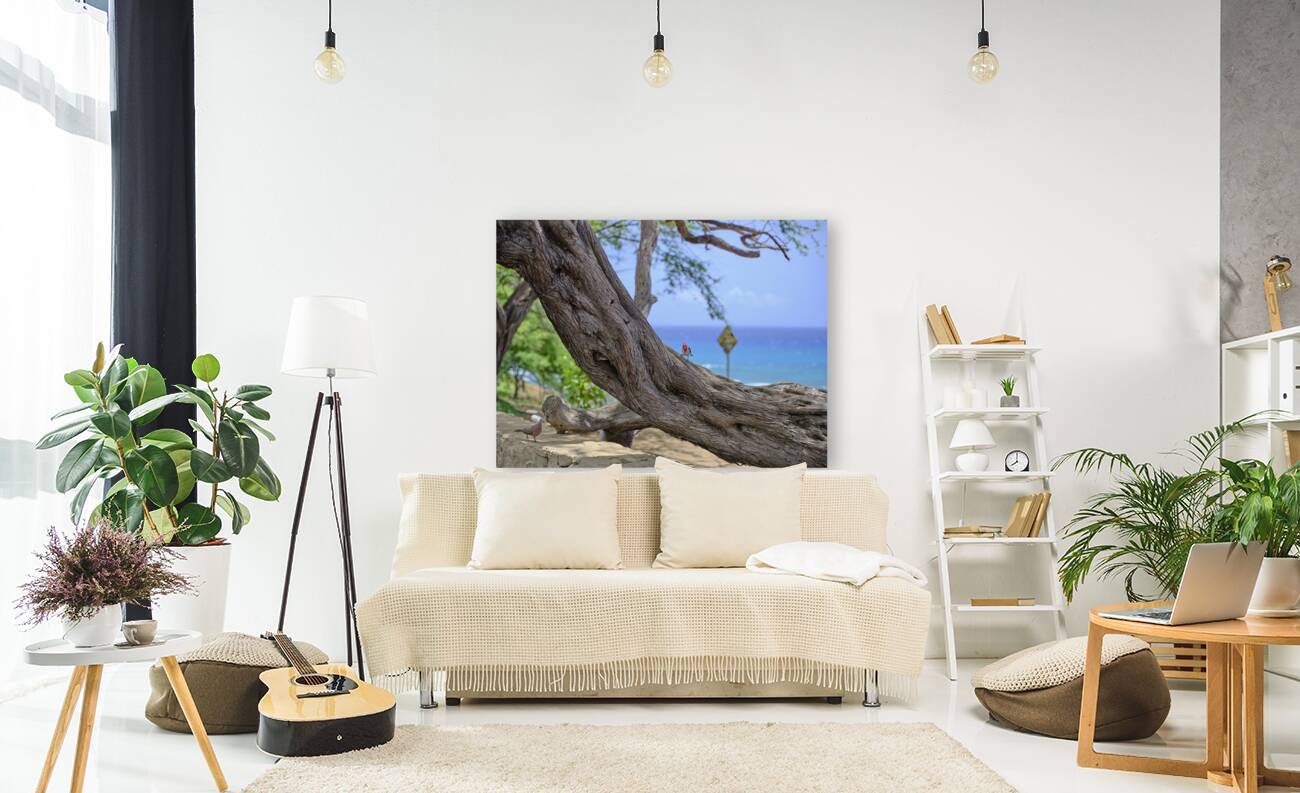 Hawaii Cardinal III Reproduction