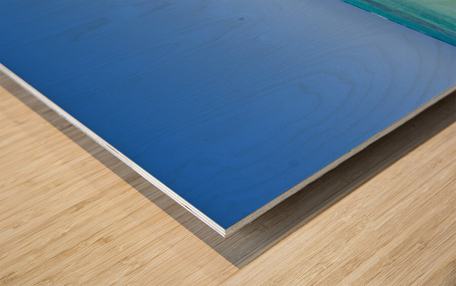 Hawaii Girls Wood print