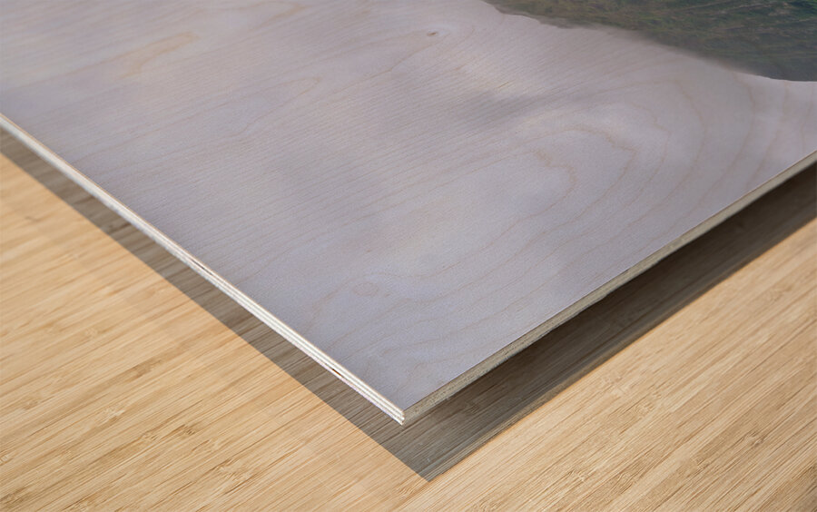 Hawaii Fog 3 Wood print